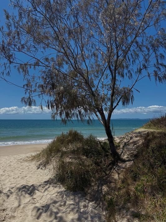 Support Tangaroa Blue this Black Friday